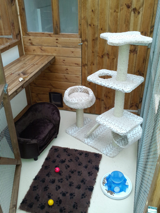 Willow Cottage Cattery